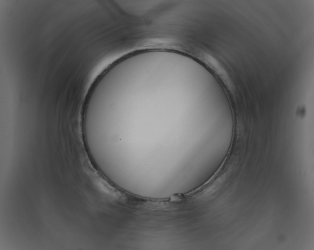 X0000089461336200707131940