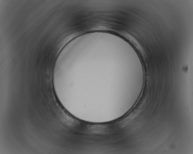 X0000089461337200707131940