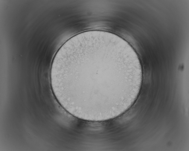 X0000089461338200707131940