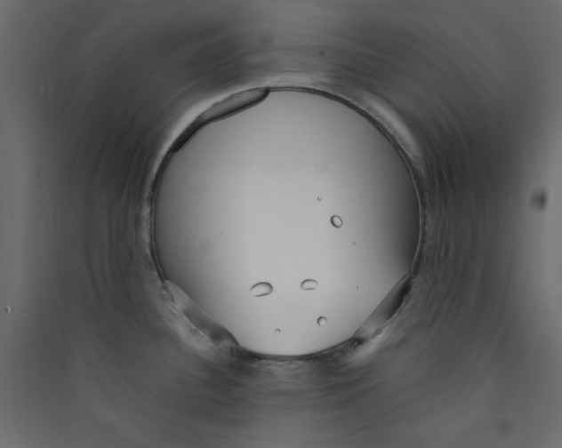 X0000089461340200707131940