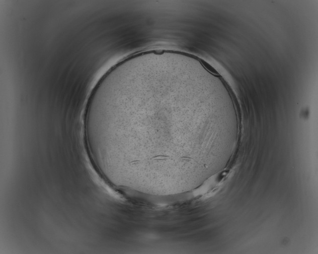 X0000089461341200707131940