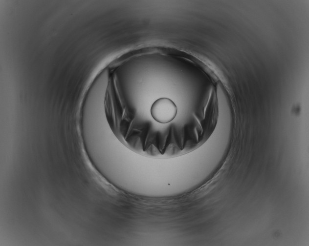 X0000089461342200707131940