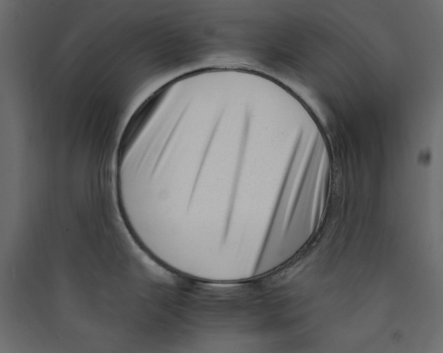 X0000089461343200707131940