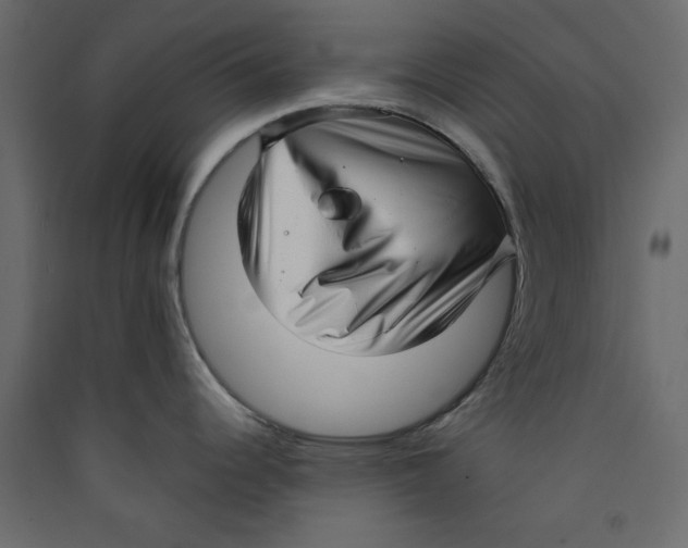 X0000089461344200707131940