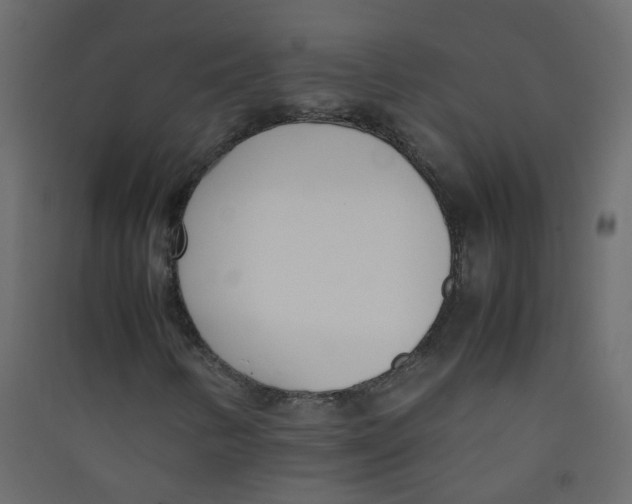 X0000089461346200707131939