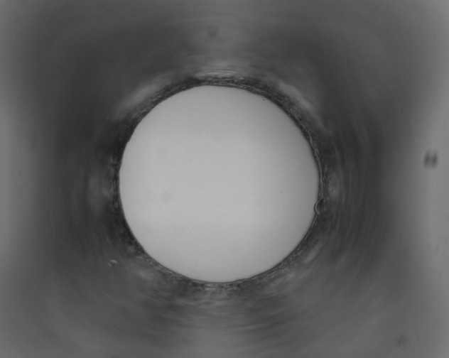 X0000089461350200707131939