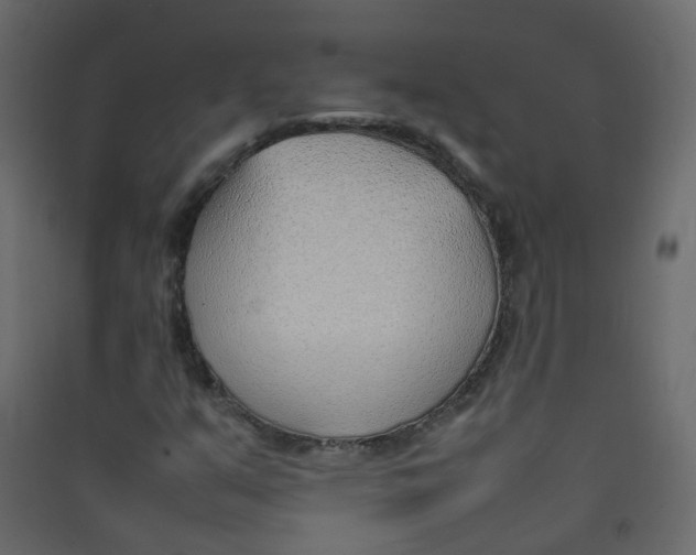 X0000089461351200707131939