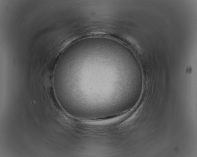 X0000089461353200707131939
