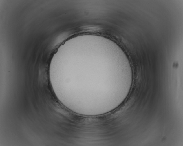X0000089461354200707131939