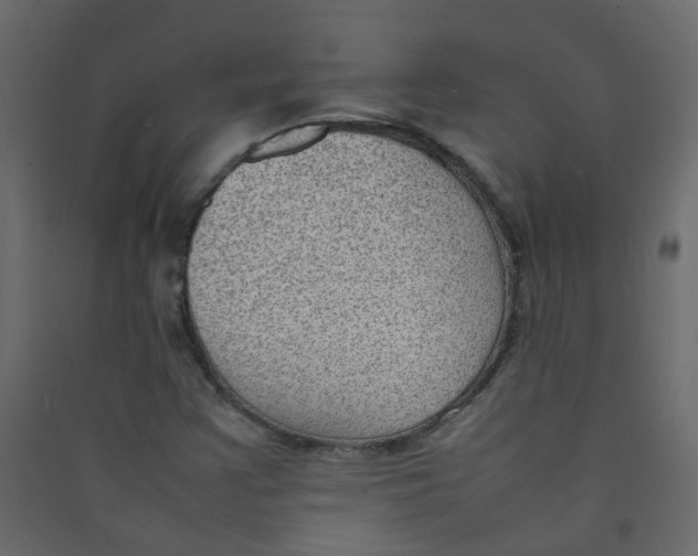 X0000089461355200707131939