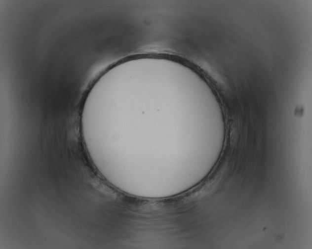 X0000089461358200707131939