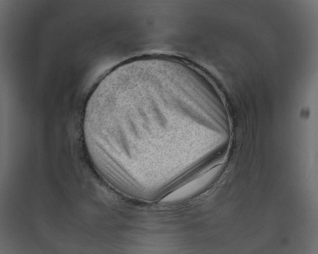 X0000089461359200707131939