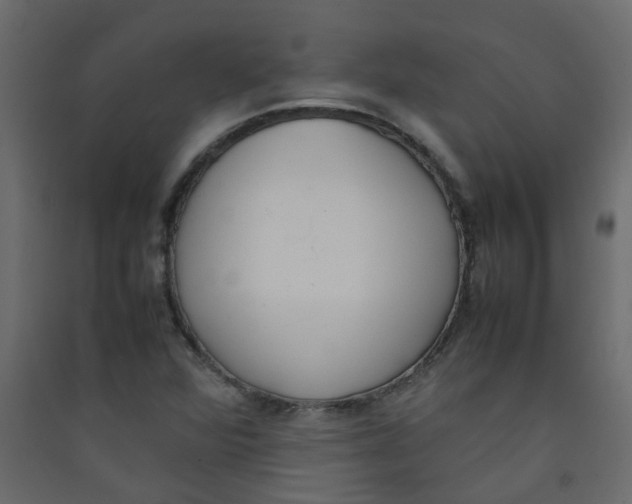 X0000089461360200707131939