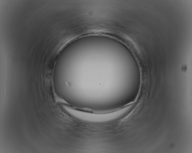 X0000089461361200707131939