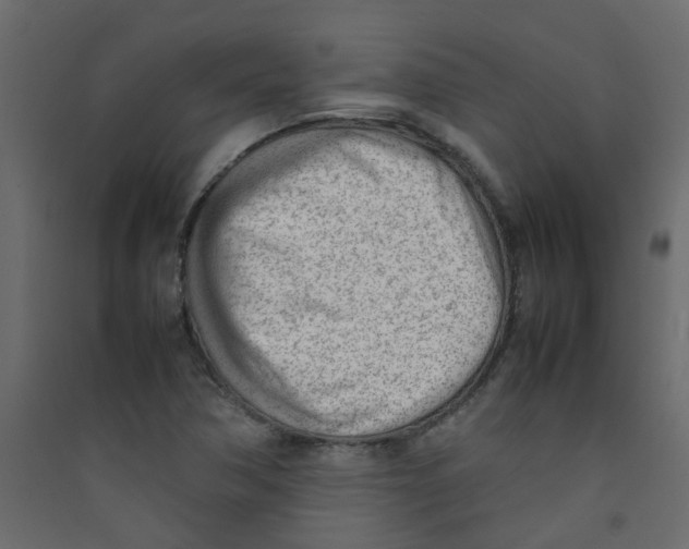 X0000089461362200707131939