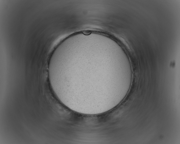 X0000089461363200707131939