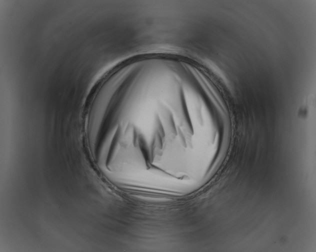 X0000089461364200707131939