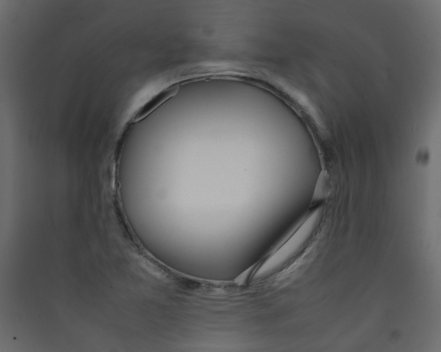 X0000089461365200707131939