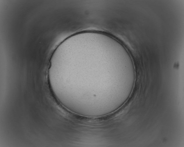 X0000089461367200707131939