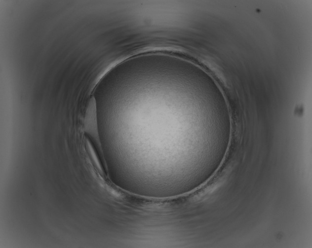 X0000089461369200707131939