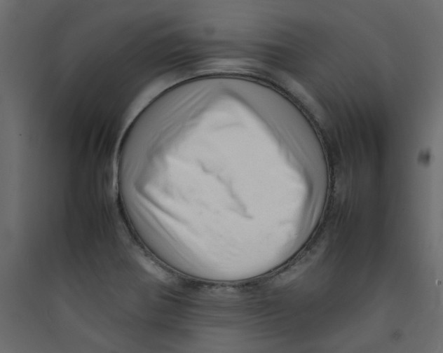 X0000089461370200707131939
