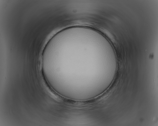 X0000089461371200707131939