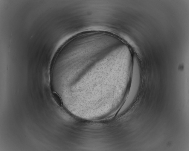 X0000089461372200707131939