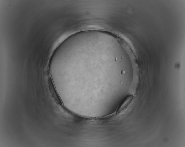 X0000089461373200707131939