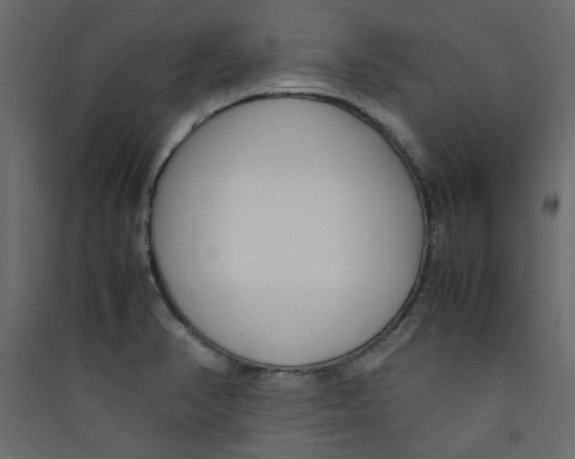 X0000089461374200707131939