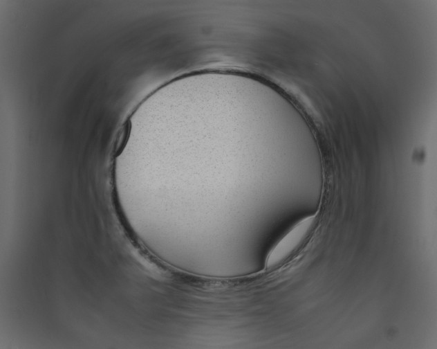 X0000089461375200707131939