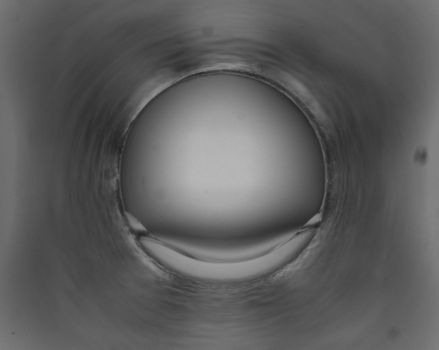 X0000089461377200707131939