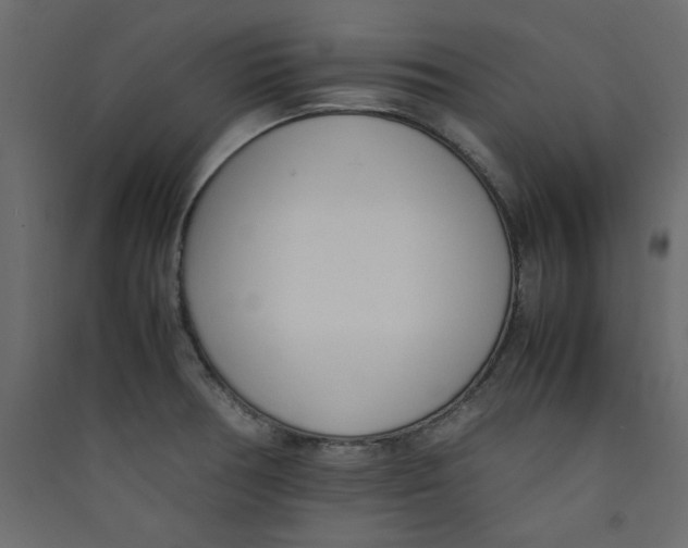 X0000089461378200707131939