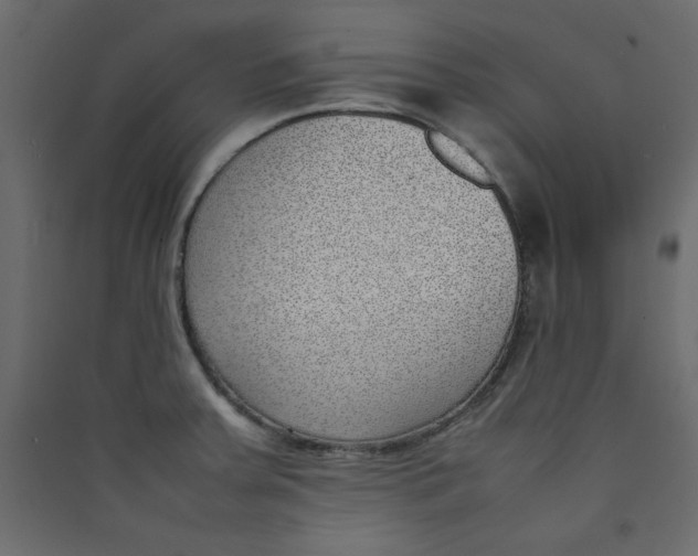 X0000089461379200707131939