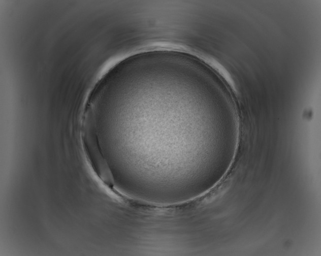 X0000089461381200707131939