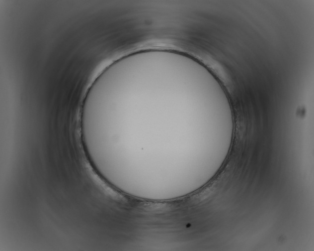 X0000089461382200707131939