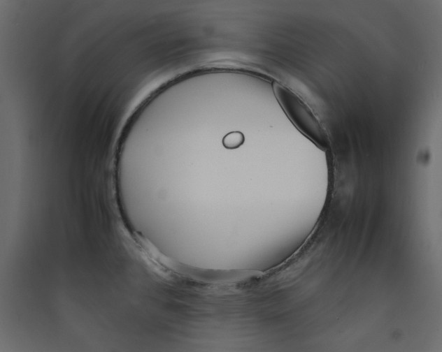 X0000089461384200707131939