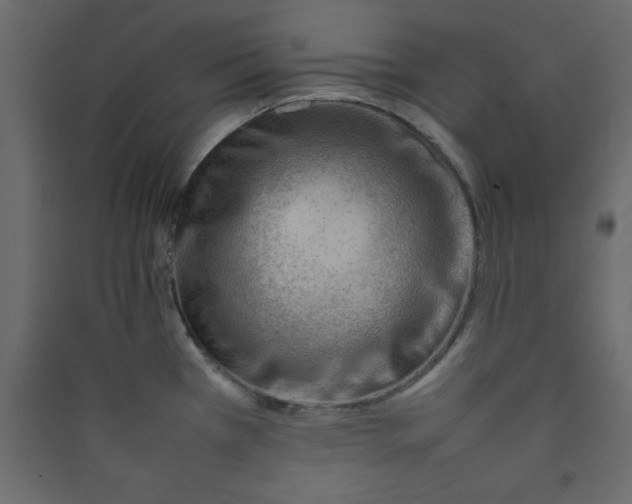 X0000089461385200707131939