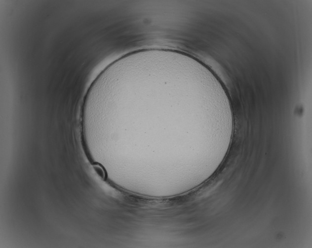 X0000089461387200707131939