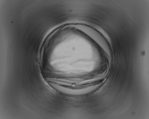 X0000089461388200707131939