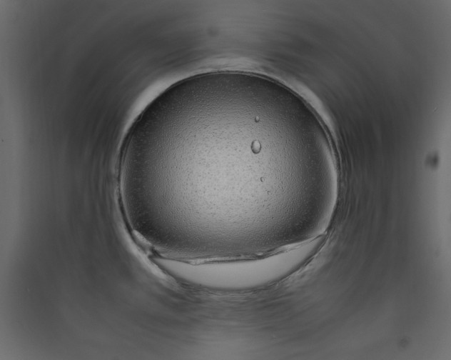 X0000089461389200707131939