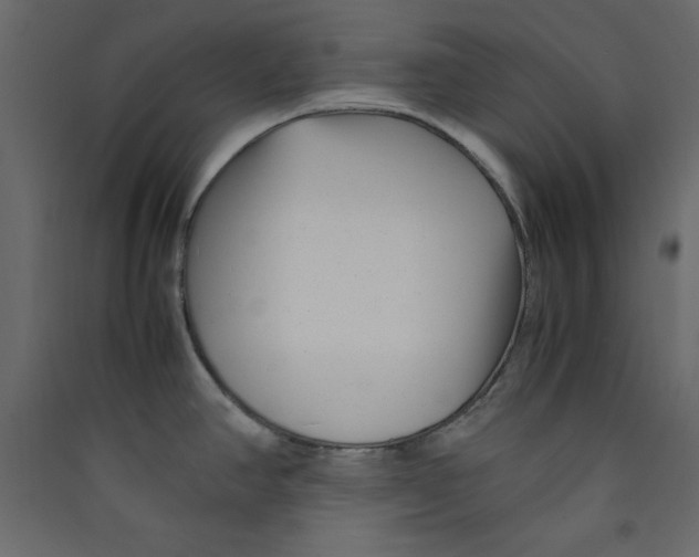 X0000089461390200707131939