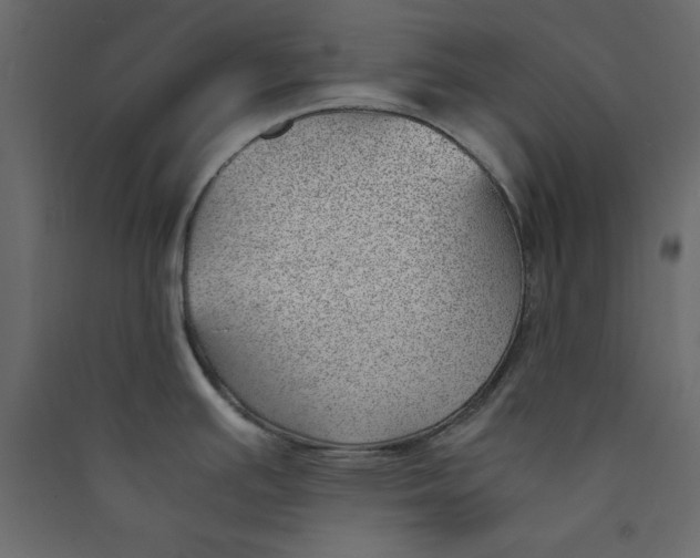 X0000089461391200707131939
