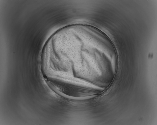 X0000089461392200707131939