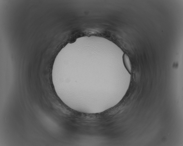 X0000089461393200707131938