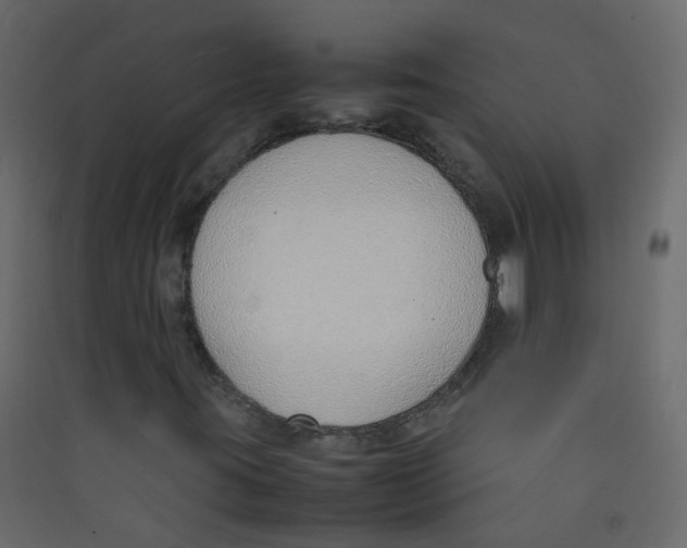 X0000089461395200707131938