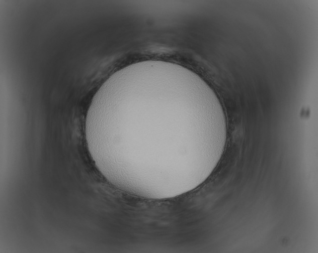X0000089461397200707131938