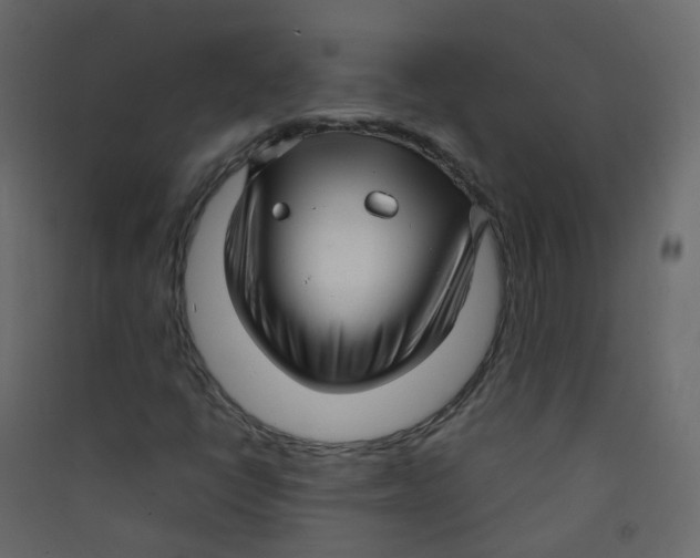 X0000089461398200707131938