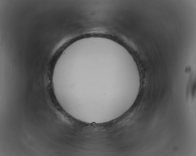 X0000089461400200707131938