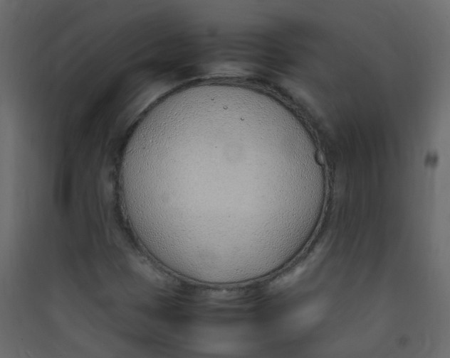 X0000089461401200707131938