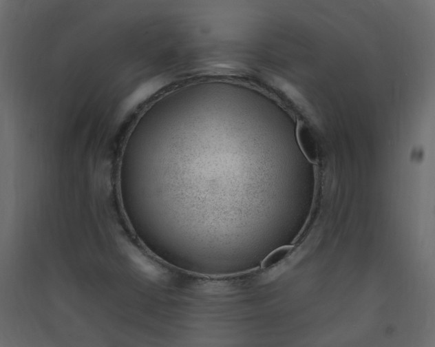 X0000089461402200707131938
